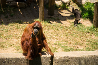 Similar image 2872259