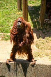 Similar image 2872260