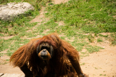 Similar image 2872261