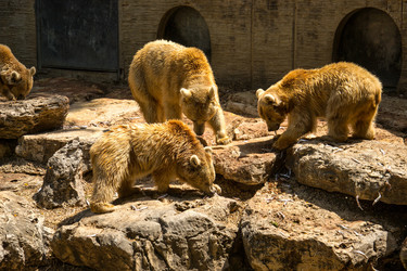 Similar image 2872265