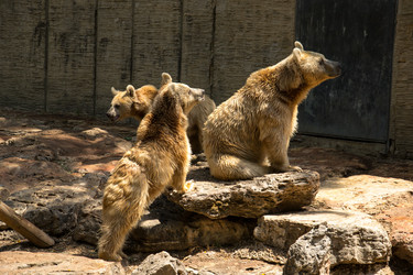 Similar image 2872301