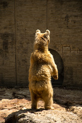 Similar image 2872303