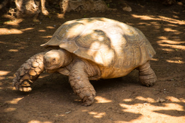 Similar image 2872304