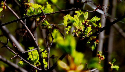 Similar image 2872367