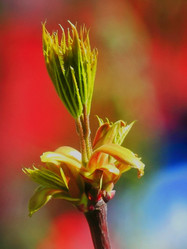 Similar image 2872370