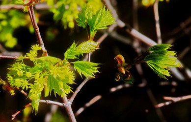 Similar image 2872375