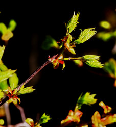 Similar image 2872376