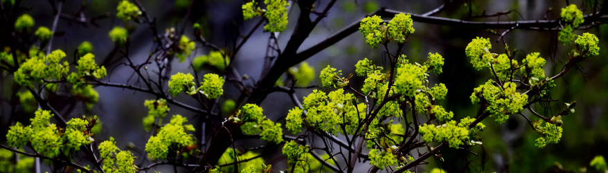 Similar image 2872378