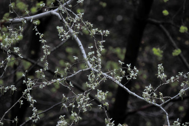 Similar image 2872380