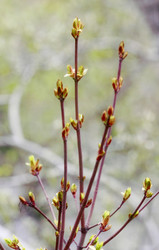 Similar image 2872383