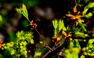 Similar image 2872385