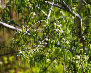 Similar image 2872396