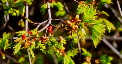 Similar image 2872397