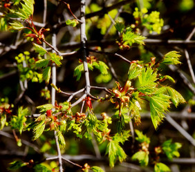 Similar image 2872398