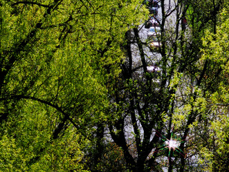 Similar image 2872399