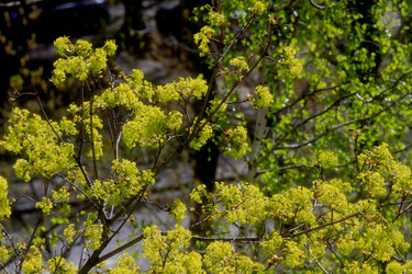 Similar image 2872401