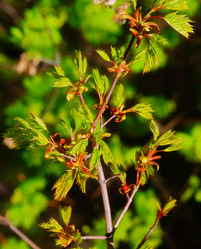 Similar image 2872403