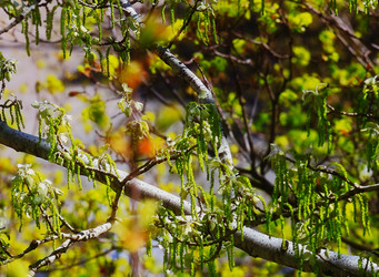 Similar image 2872404