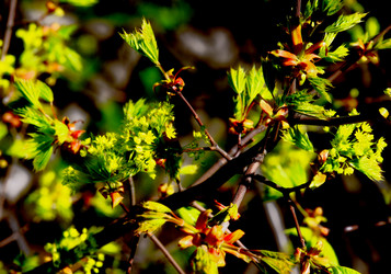 Similar image 2872405