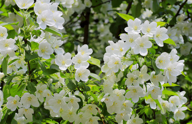 Similar image 2872431