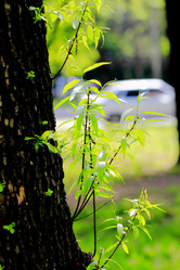 Similar image 2872437