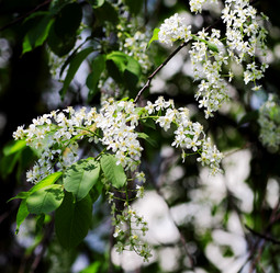 Similar image 2872438