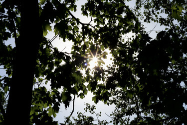 Similar image 2872445