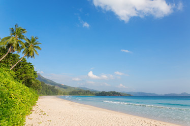 Similar image 2872559