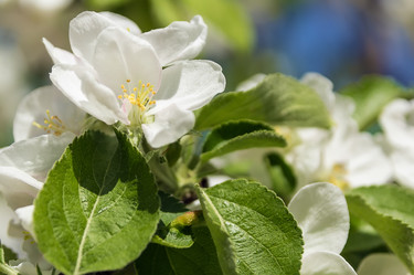 Similar image 2872604