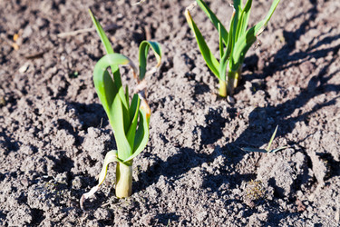 Similar image 2872656