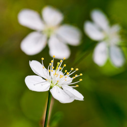 Similar image 2872666