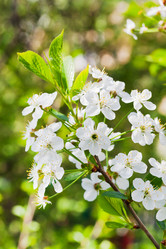 Similar image 2872696