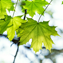 Similar image 2872699