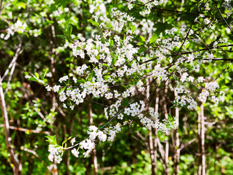 Similar image 2872703