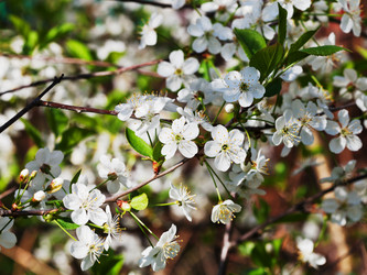 Similar image 2872704