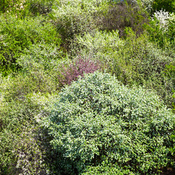 Similar image 2872705