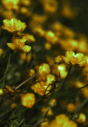 Similar image 2872708