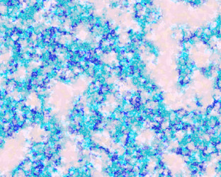 Similar image 2872744