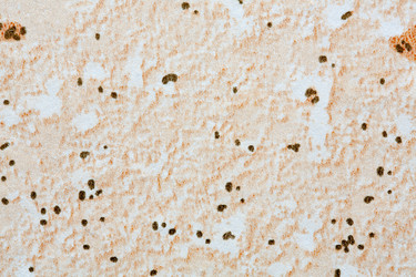 Similar image 2872755