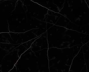 Similar image 2872771