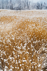 Similar image 2872783