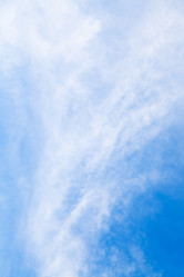 Similar image 2872801