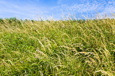 Similar image 2872811