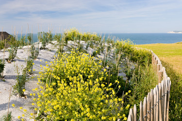 Similar image 2872814