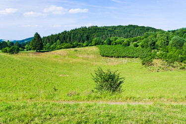 Similar image 2872822