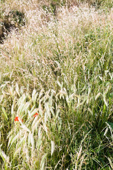 Similar image 2872826