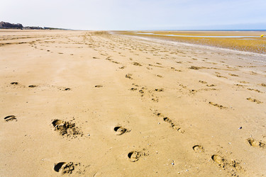 Similar image 2872835