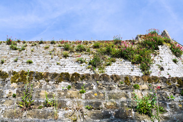 Similar image 2872838