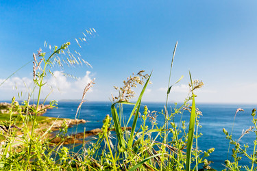 Similar image 2872849