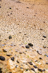 Similar image 2872856